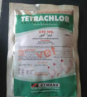  Tetrachlor obat ampuh menyembuhkan patah tulang leher pada ayam aduan
