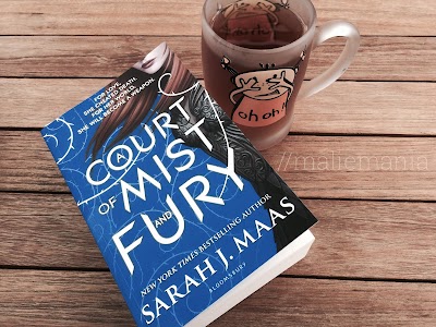 review: a court of mist and fury