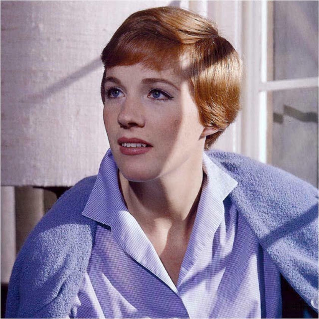 Julie Andrews Profile Pics Dp Images