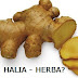 HERBA - HALIA (Part 1)