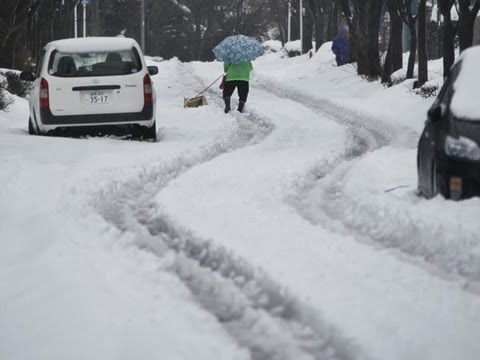 Mulher anda pela neve com seu cachorro em Tóquio, no Japão