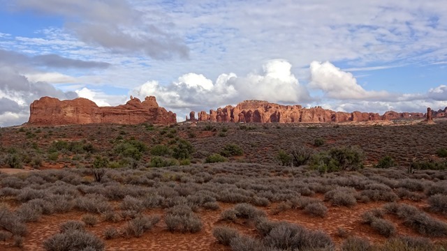 DSC00745