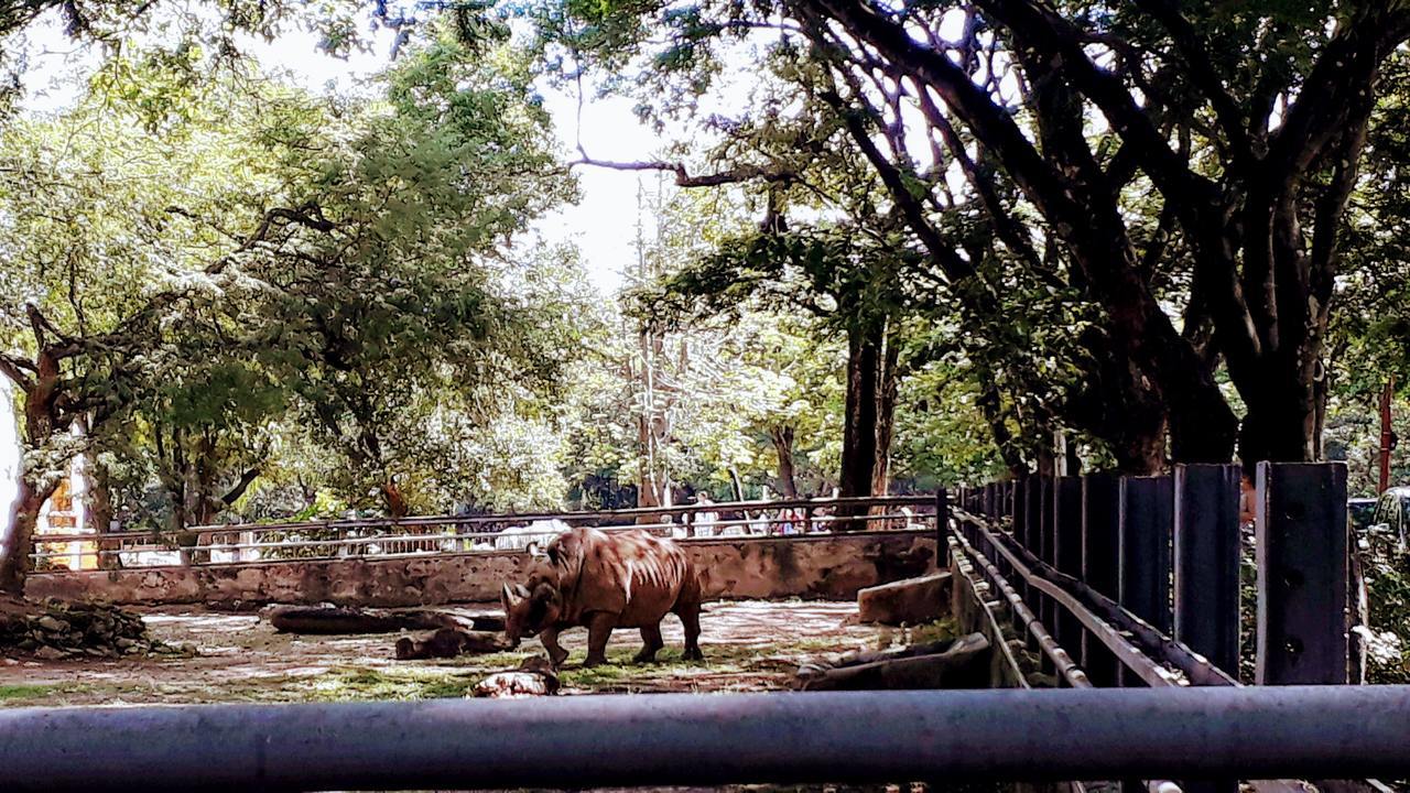 Passeio em Família - Parques de Natureza em Belo Horizonte