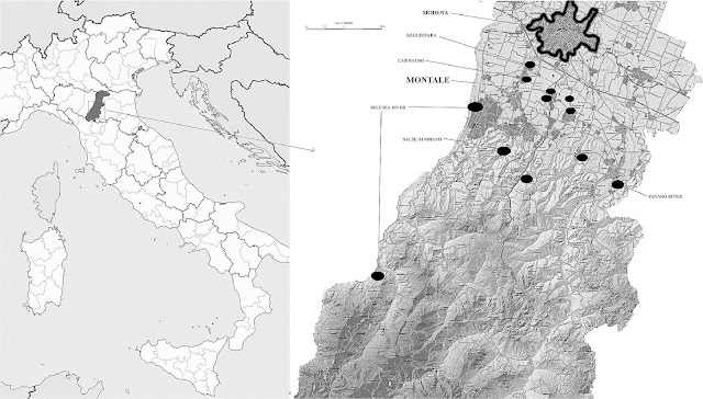 Industrial manufacturing of wool and wool textiles in the Bronze Age Italy