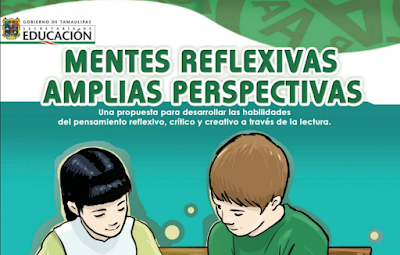 Mentes Reflexivas amplias perspectiva