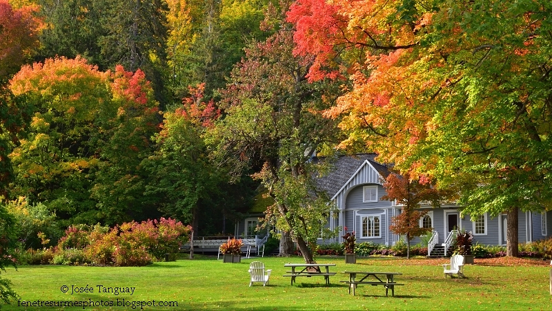 Le Domaine Joly en automne.