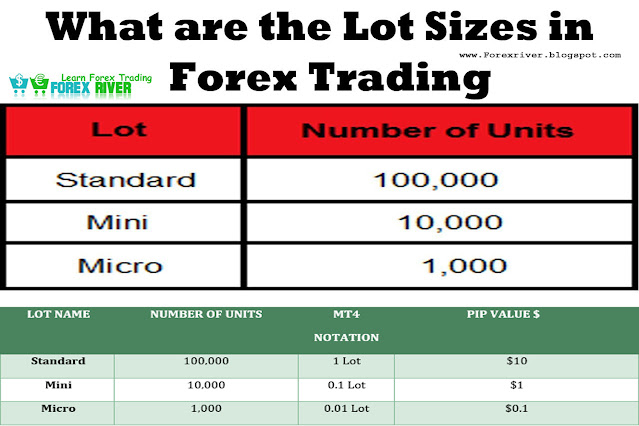 What are Lot in Forex Trading Market