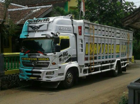 Modifikasi truk fuso 8