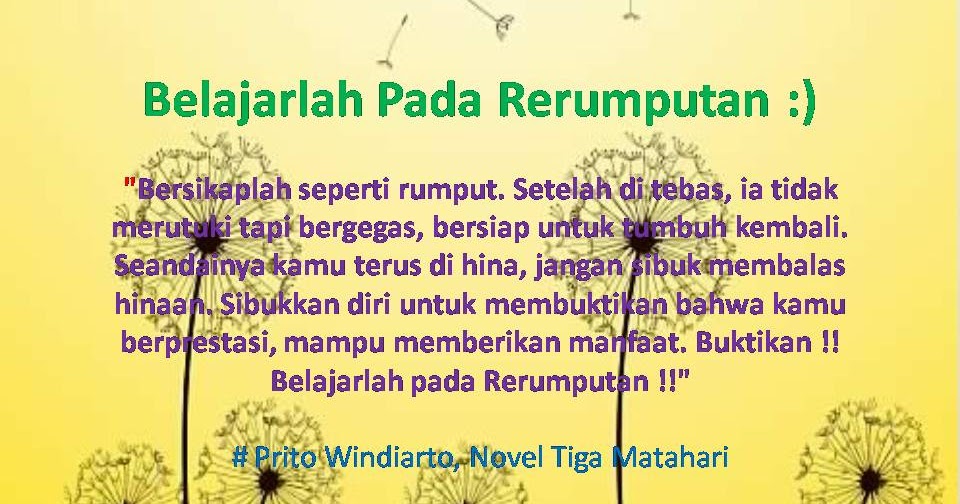 Kumpulan Gambar Berisi Kata Kata Bijak 1