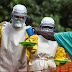 10 điều cần biết về sự nguy hiểm về đại dịch virus Ebola