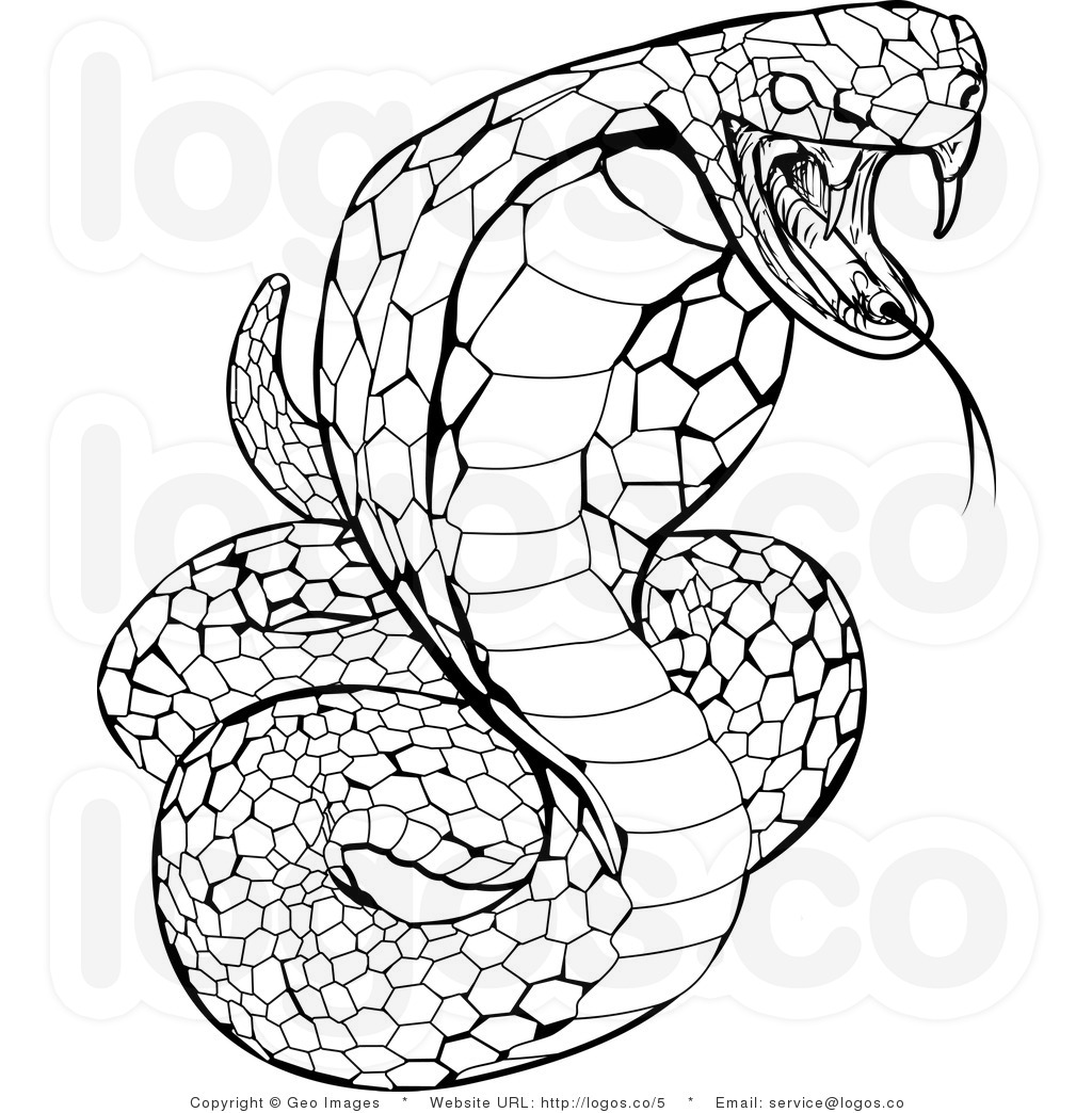 Snake Coloring Pages Printable Free 1