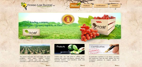 Fundo Los Paltos Web Design