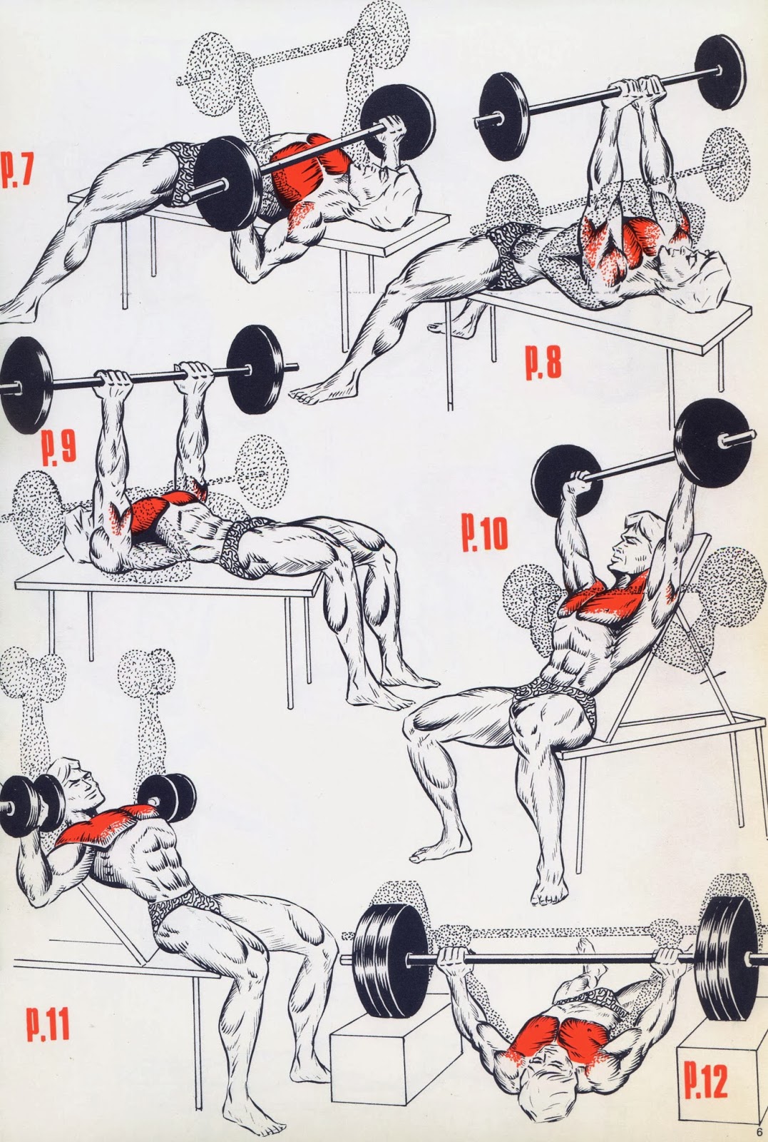 This a simple exercises for the begining's bodybuilding ...