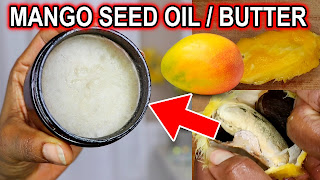 How to Make Mango Seed Oil and Butter for Hair and Skin | DiscoveringNatural