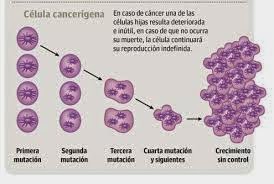 Imagen de Celulas Cancerigenas