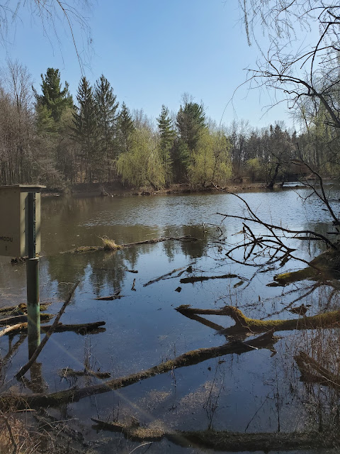 Pond at Deer Haven Park