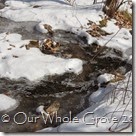 iced stream