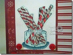 candy-cane-closeup