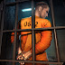 Prison Escape 1.0.3 Apk Mod Money تحميل اصدار جديد