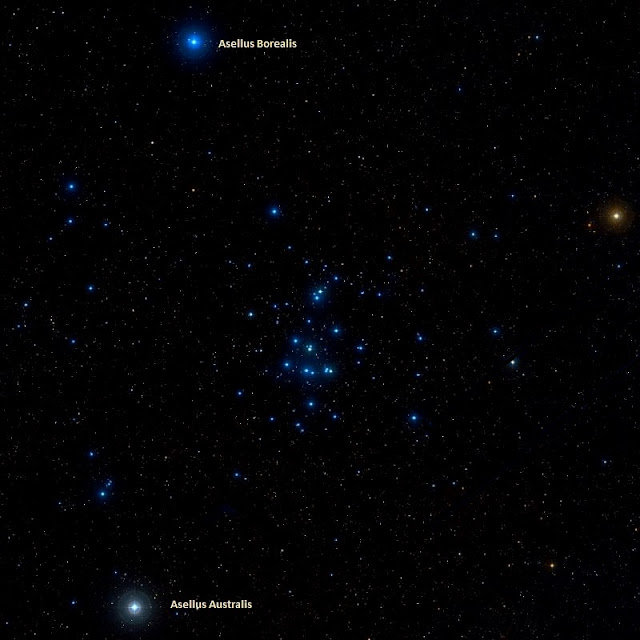 messier-44-gugus-sarang-lebah-informasi-astronomi