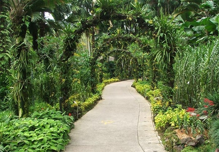 ... Tropical Garden Ideas – Elements of Small Tropical Garden Design