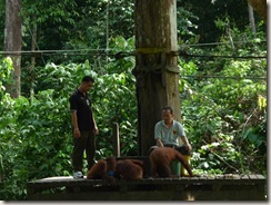 P1000017