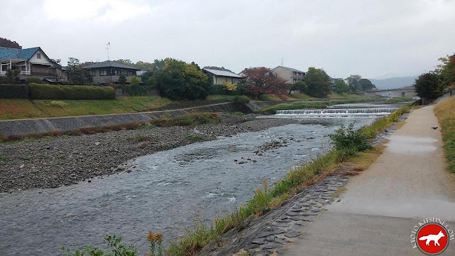 rivière kamo à Kyoto