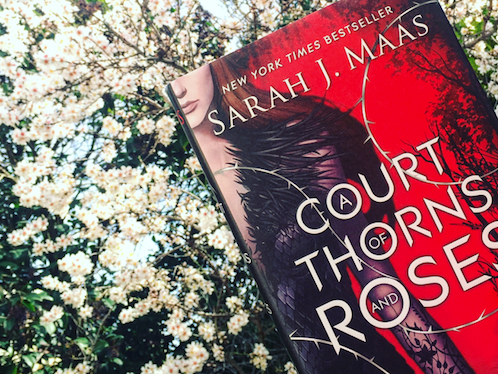 BOOK⎪A COURT OF THORNS AND ROSES • Sarah J. Maas