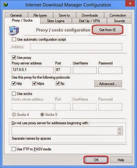 Get IDM proxy and port From IE