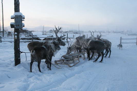 Oymyakon Kota Terdingin Di Dunia (foto) [ www.BlogApaAja.com ]