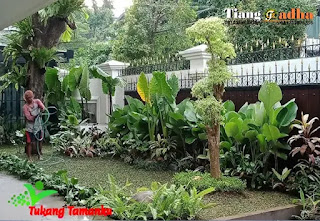 tukang taman pemalang dan jasa taman kota pemalang