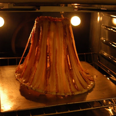 Bacon Strip Lamp shade