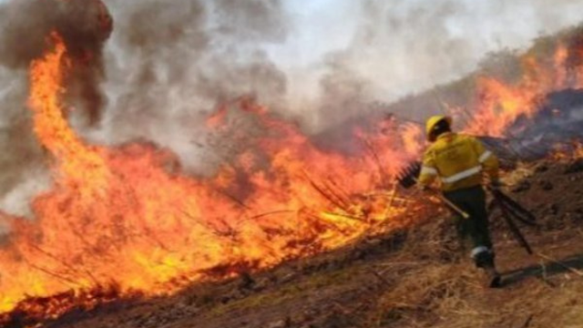 Apelan a la conciencia y responsabilidad ciudadana para evitar los incendios forestales