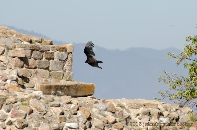 Monte Albán, Oaxaca, Mexico