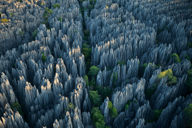 Tsingy de Bemaraha Strict Nature Reserve