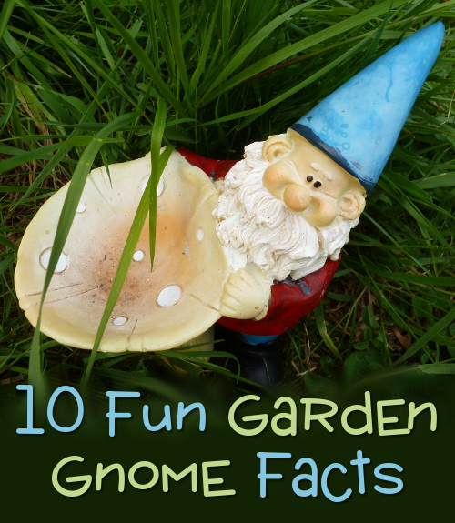 Garden gnome facts fun page for kids and adults