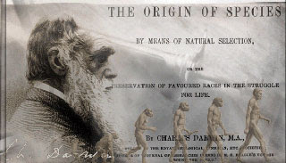 Darwin Origem das Espécies Origin of Species