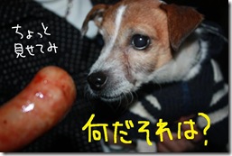 今日カズ１００２１４　５