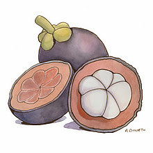 mangosteen