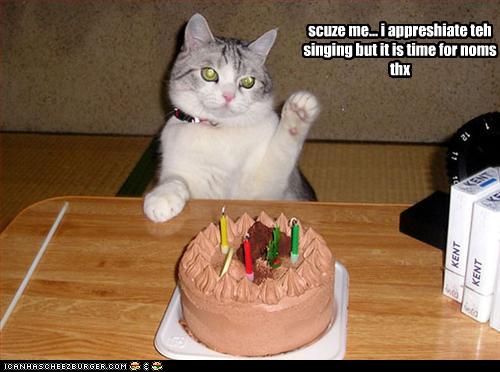 Funny Happy Birthday Cat