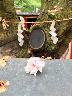 金運 湯村温泉 金櫻神社