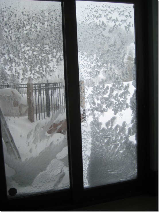 2010-04-01 Snow and Easter 1681