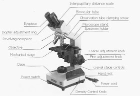 Macam Macam Mikroskop dan Sejarah Mikroskop