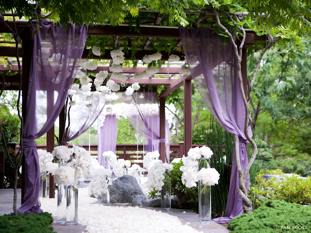 purple-outside-wedding-outdoor-wedding-canopy-decorations