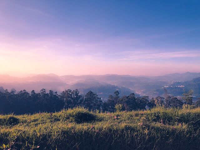 south India:Photo by Satyajit Bhowmik on Unsplash