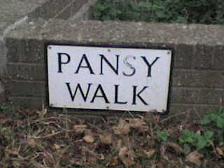 Pansy Walk