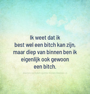 bitch quotes nederlands
