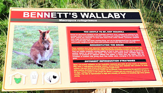 tasmania East Coast Natureworld