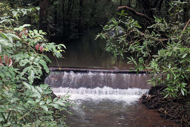 River Streams through the Yana road