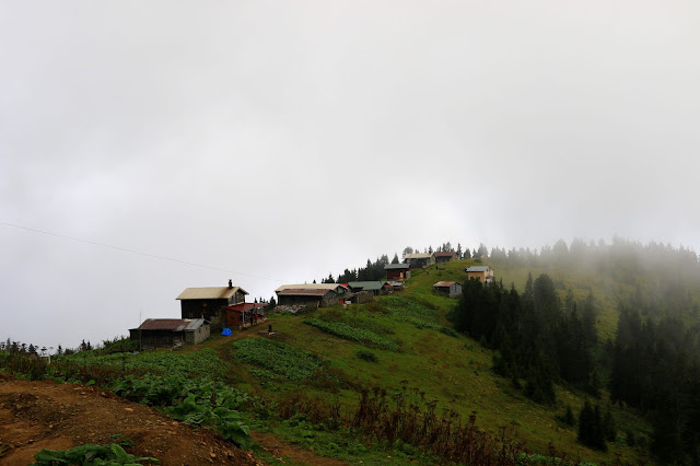 Doğu Karadeniz, Yayla, Gito Yaylası, Pokut Yaylası, tar deresi, bulut şelalesi